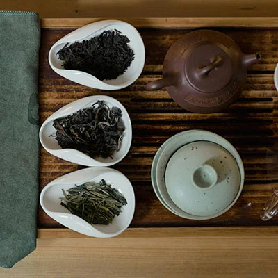 V2ray Cat节点 | 4月21日18.9M/S|免费SSR节点/Trojan节点/Shadowrocket节点/Clash节点/V2ray节点/Singbox节点节点推荐，在线Clash机场梯子购买推荐